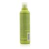 AVEDA - Be Curly Co-Wash  AJ20 250ml/8.5oz