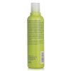 AVEDA - Be Curly Shampoo  A3GT 250ml/8.5oz